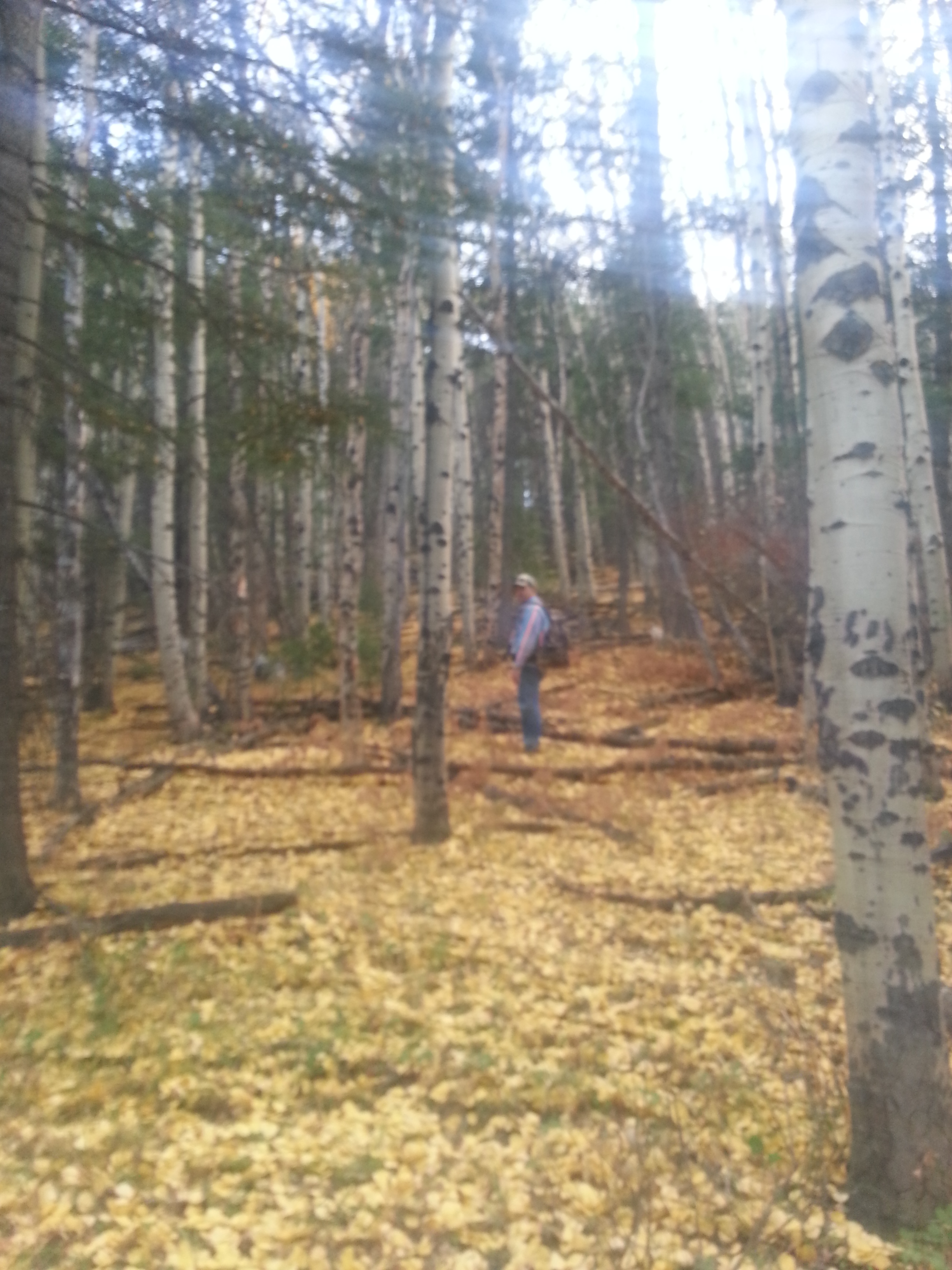 Awash in vivid autumn colors: hiking in lovely Sedalia, Colorado