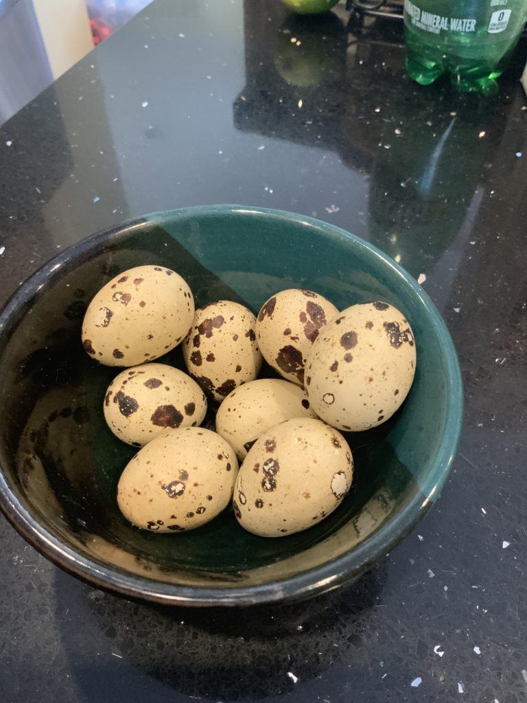 Quail eggs from Big Dawg Farms